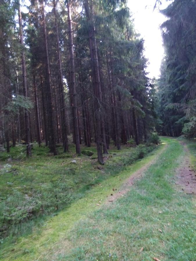 Hotel Sonnenhof Личау Экстерьер фото